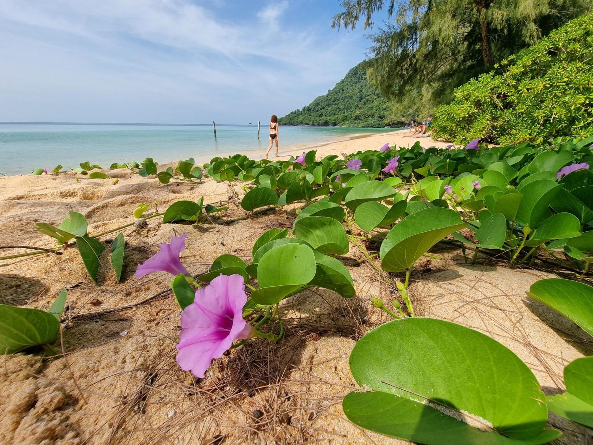 Sunboo Beach Bungalows Koh Rong Sanloem Esterno foto